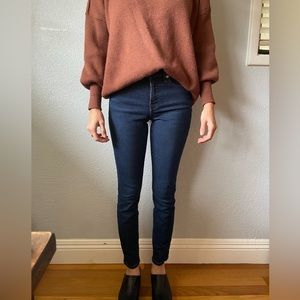 Everlane Dark Blue Skinny Jean Size 25